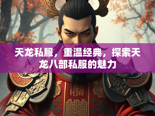 天龙私服，重温经典，探索天龙八部私服的魅力  第3张