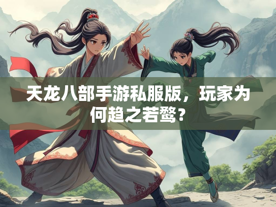 天龙八部手游私服版，玩家为何趋之若鹜？