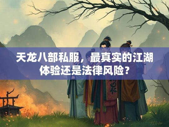 天龙八部私服，最真实的江湖体验还是法律风险？