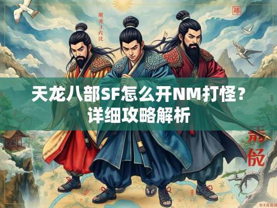 天龙八部SF怎么开NM打怪？详细攻略解析