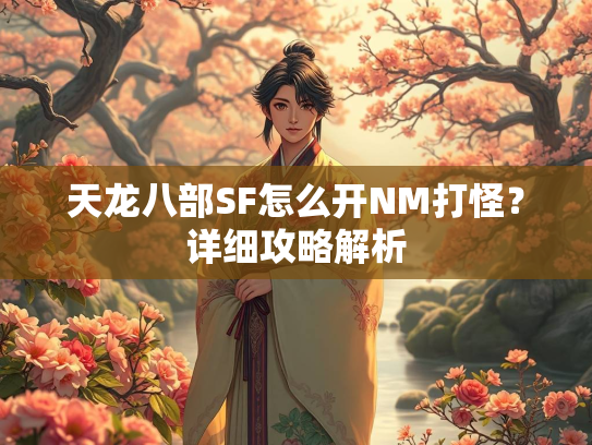 天龙八部SF怎么开NM打怪？详细攻略解析