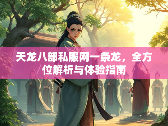 天龙八部私服网一条龙，全方位解析与体验指南  第2张