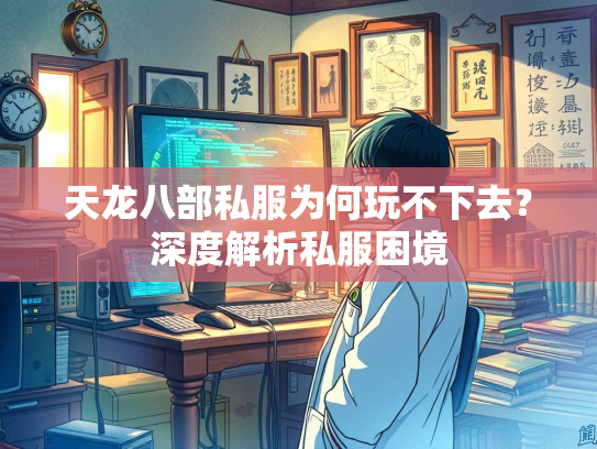 天龙八部私服为何玩不下去？深度解析私服困境