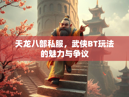 天龙八部私服，武侠BT玩法的魅力与争议  第2张