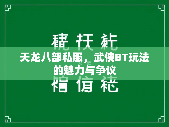 天龙八部私服，武侠BT玩法的魅力与争议  第1张
