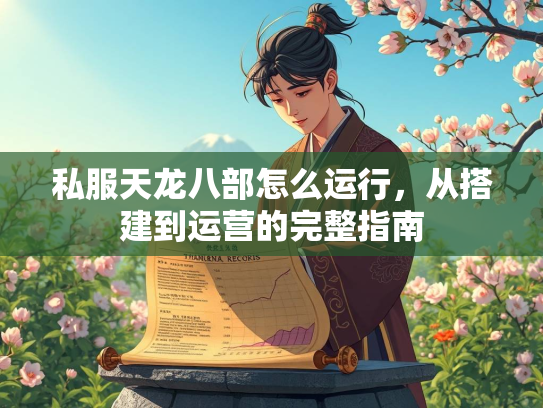 私服天龙八部怎么运行，从搭建到运营的完整指南  第3张