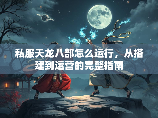 私服天龙八部怎么运行，从搭建到运营的完整指南