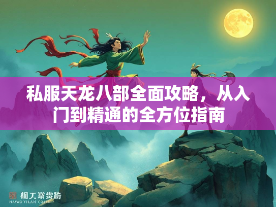 私服天龙八部全面攻略，从入门到精通的全方位指南  第2张