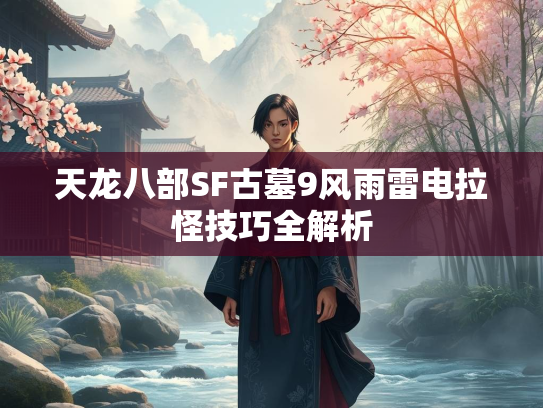 天龙八部SF古墓9风雨雷电拉怪技巧全解析