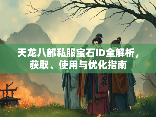 天龙八部私服宝石ID全解析，获取、使用与优化指南