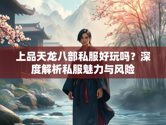 上品天龙八部私服好玩吗？深度解析私服魅力与风险