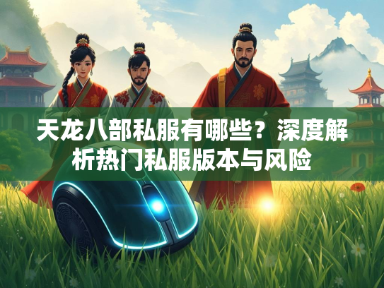 天龙八部私服有哪些？深度解析热门私服版本与风险  第3张
