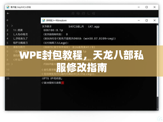 WPE封包教程，天龙八部私服修改指南  第3张