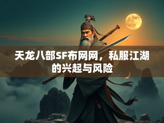 天龙八部SF布网网，私服江湖的兴起与风险