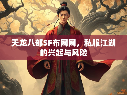 天龙八部SF布网网，私服江湖的兴起与风险