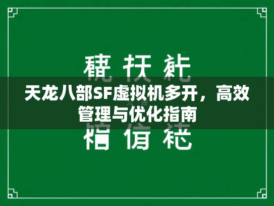 天龙八部SF虚拟机多开，高效管理与优化指南  第2张