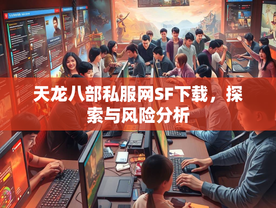 天龙八部私服网SF下载，探索与风险分析  第2张