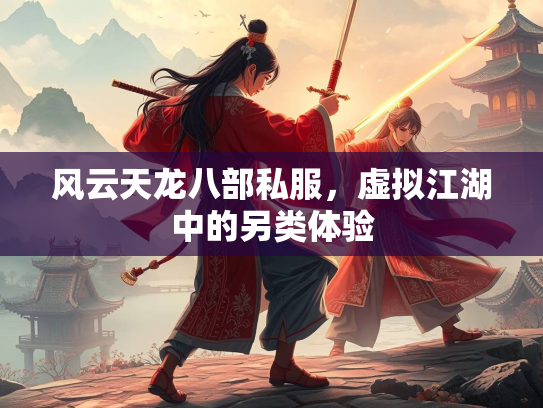 风云天龙八部私服，虚拟江湖中的另类体验  第3张