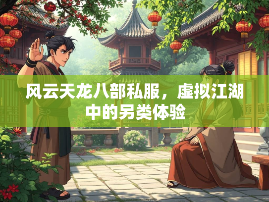 风云天龙八部私服，虚拟江湖中的另类体验  第1张