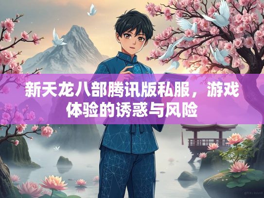 新天龙八部腾讯版私服，游戏体验的诱惑与风险  第2张