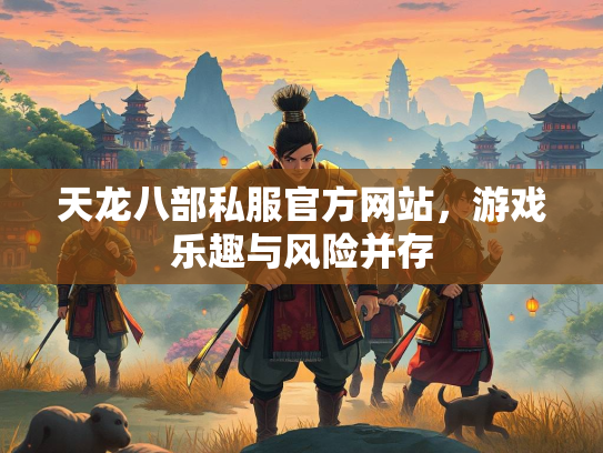 天龙八部私服官方网站，游戏乐趣与风险并存