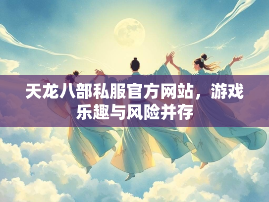 天龙八部私服官方网站，天龙游戏乐趣与风险并存  第1张