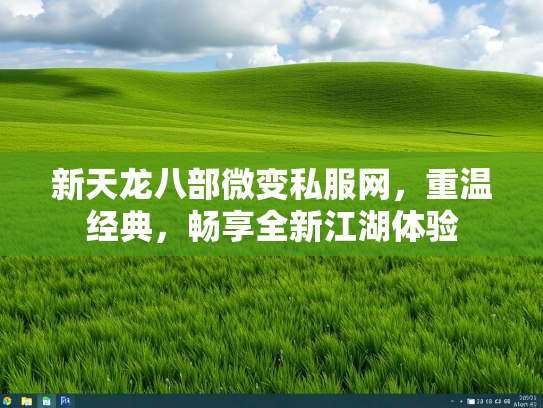 新天龙八部微变私服网，重温经典，畅享全新江湖体验