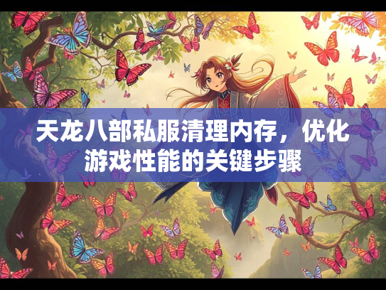 天龙八部私服清理内存，优化游戏性能的关键步骤  第2张