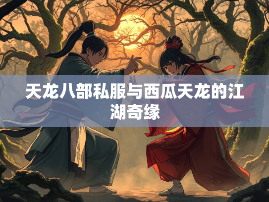 天龙八部私服与西瓜天龙的江湖奇缘
