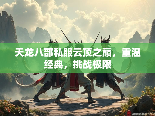 天龙八部私服云顶之巅，重温经典，挑战极限  第3张
