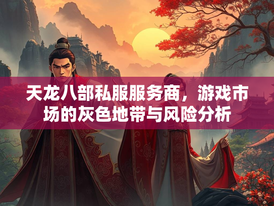 天龙八部私服服务商，游戏市场的灰色地带与风险分析  第2张
