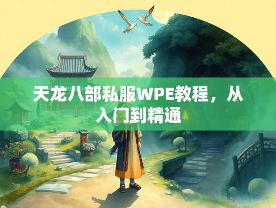 天龙八部私服WPE教程，从入门到精通