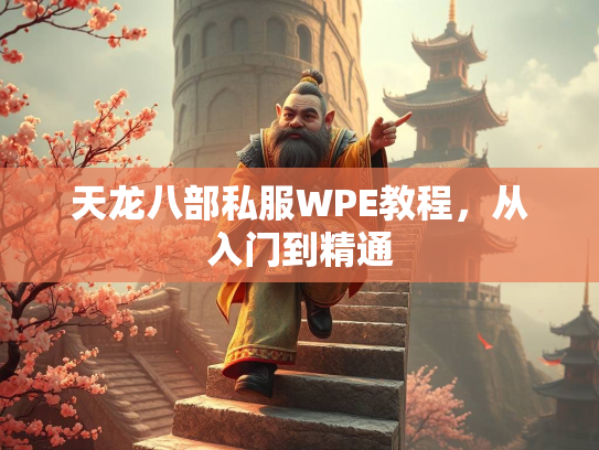天龙八部私服WPE教程，从入门到精通