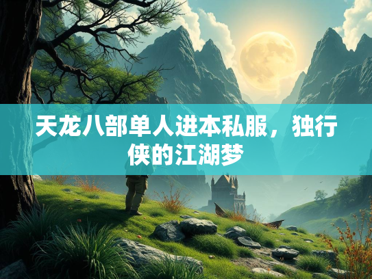 天龙八部单人进本私服，独行侠的江湖梦  第1张