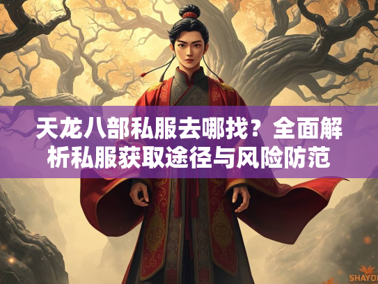 天龙八部私服去哪找？全面解析私服获取途径与风险防范  第1张