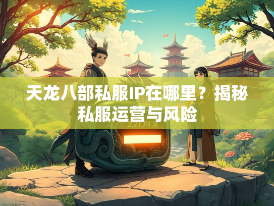 天龙八部私服IP在哪里？揭秘私服运营与风险