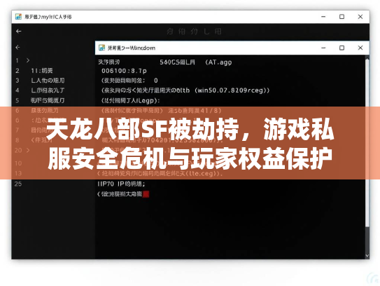 天龙八部SF被劫持，游戏私服安全危机与玩家权益保护  第1张