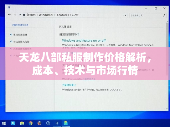 天龙八部私服制作价格解析，成本、技术与市场行情