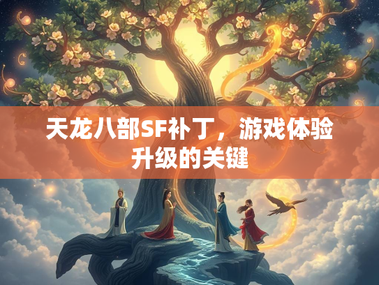 天龙八部SF补丁，游戏体验升级的关键  第2张
