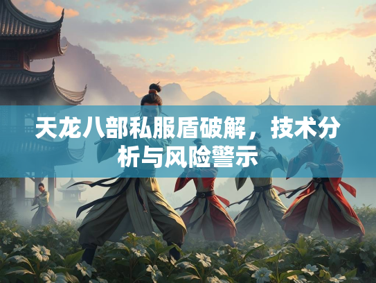 天龙八部私服盾破解，技术分析与风险警示