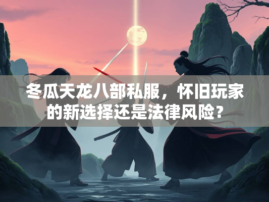 冬瓜天龙八部私服，怀旧玩家的新选择还是法律风险？