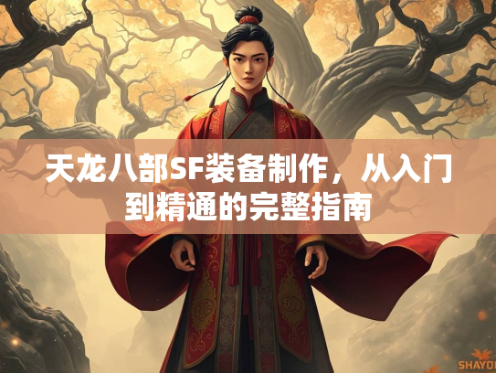 天龙八部SF装备制作，从入门到精通的完整指南  第2张