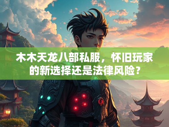 木木天龙八部私服，怀旧玩家的新选择还是法律风险？