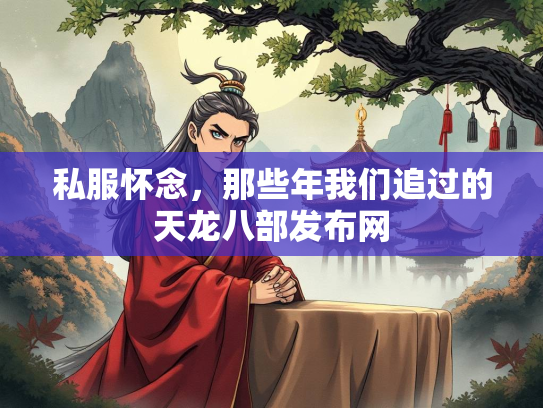私服怀念，那些年我们追过的天龙八部发布网  第2张