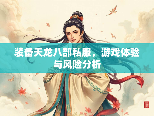 装备天龙八部私服，游戏体验与风险分析