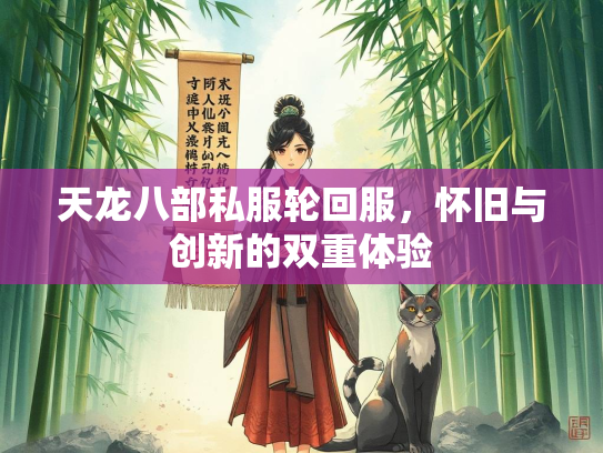 天龙八部私服轮回服，怀旧与创新的双重体验  第3张