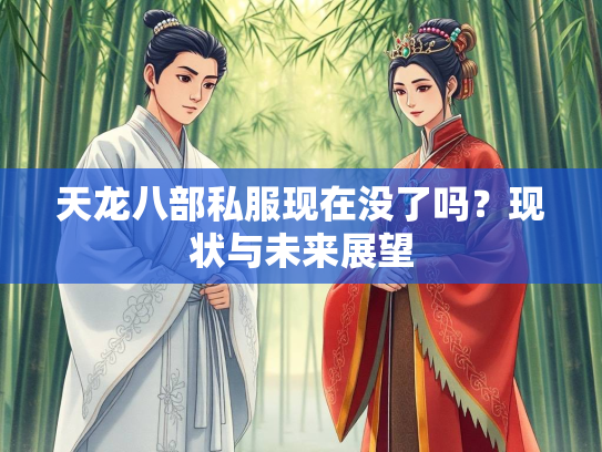 天龙八部私服现在没了吗？现状与未来展望