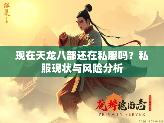 现在天龙八部还在私服吗？私服现状与风险分析