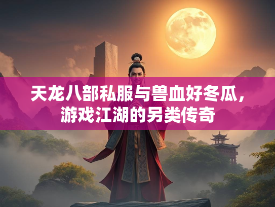 天龙八部私服与兽血好冬瓜，游戏江湖的另类传奇  第3张