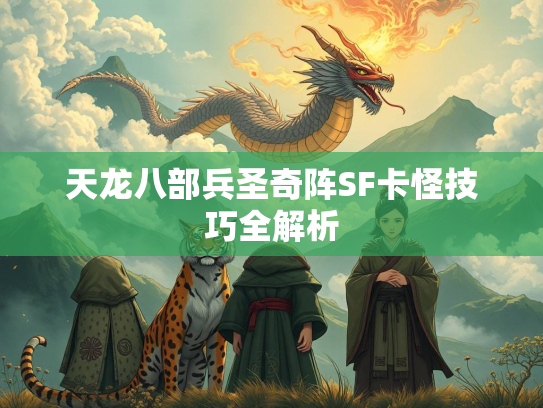 天龙八部兵圣奇阵SF卡怪技巧全解析  第3张